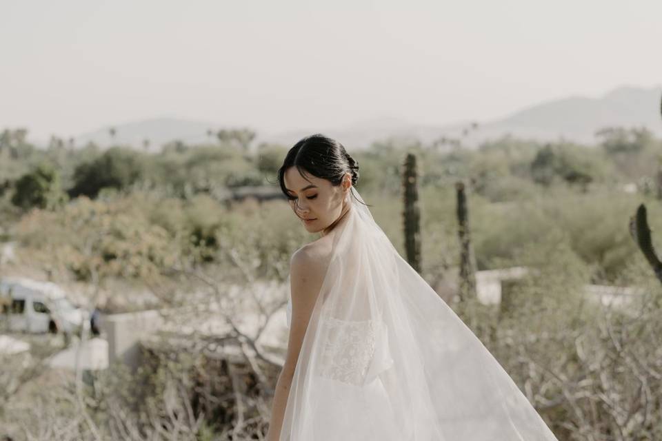 Behind the Veil