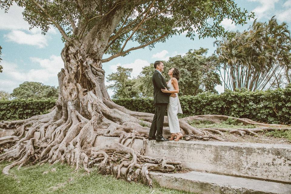 Matt & Lauren Wedding