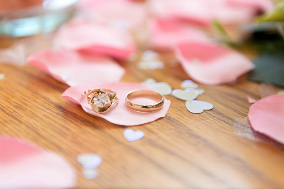 Brian Angers Photography - rose petals and wedding bands