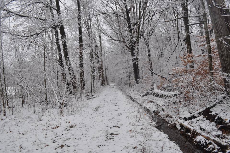 Winter wonderland trails