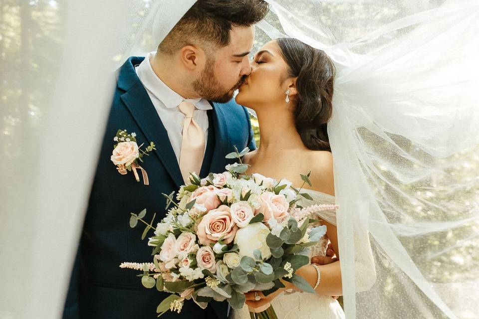 First look & veil