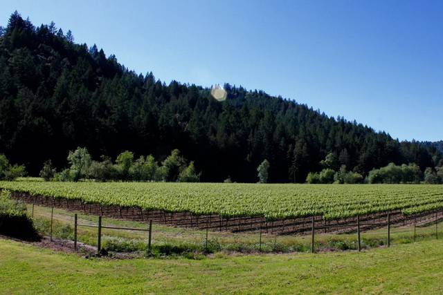 The West Sonoma Inn