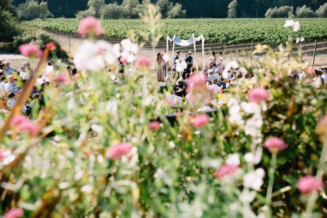 Vineyard view garden wedding