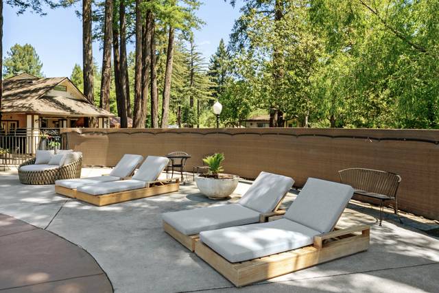 Pool lounger