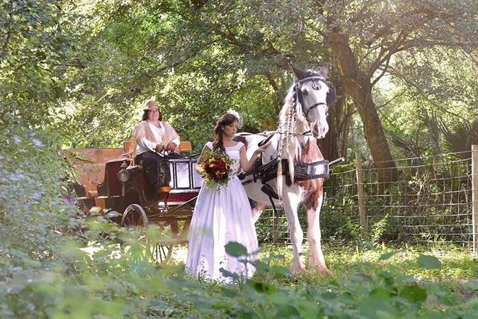 Equestrian Bride