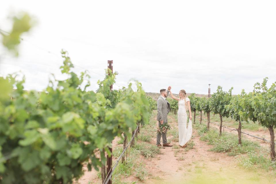 Vineyard Wedding