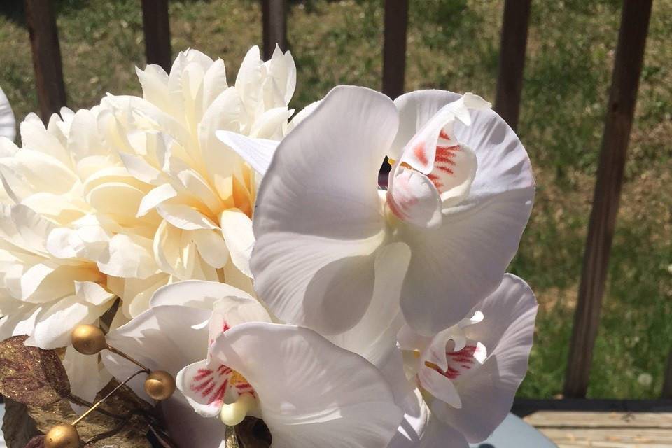 White beautiful flower