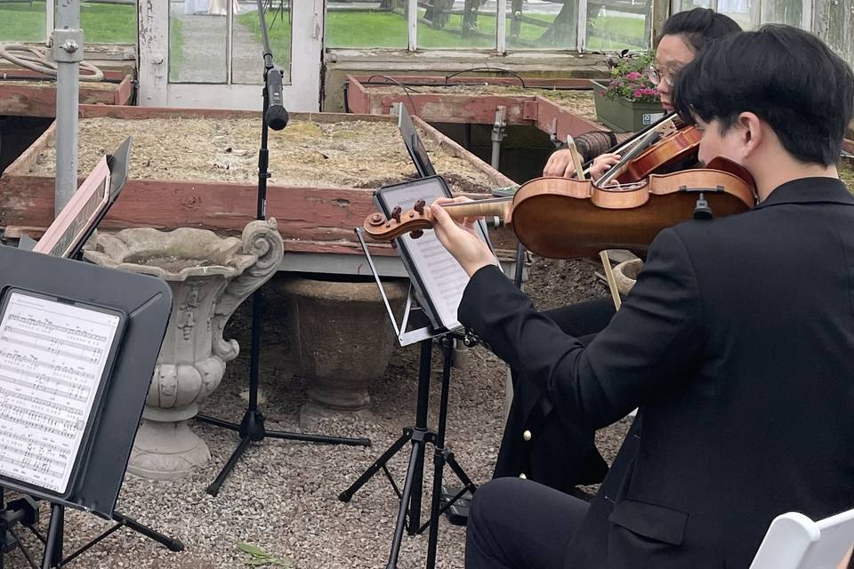 String quartet