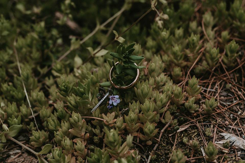 Flit Photography