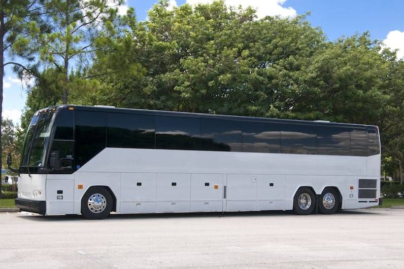 Large wedding bus service