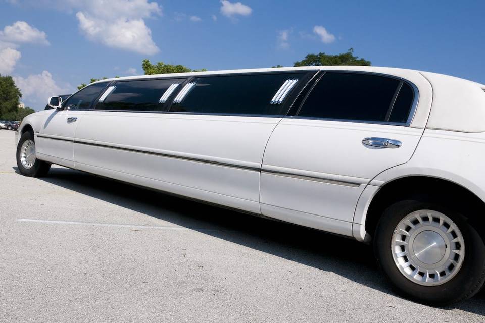 White limo service tallahassee