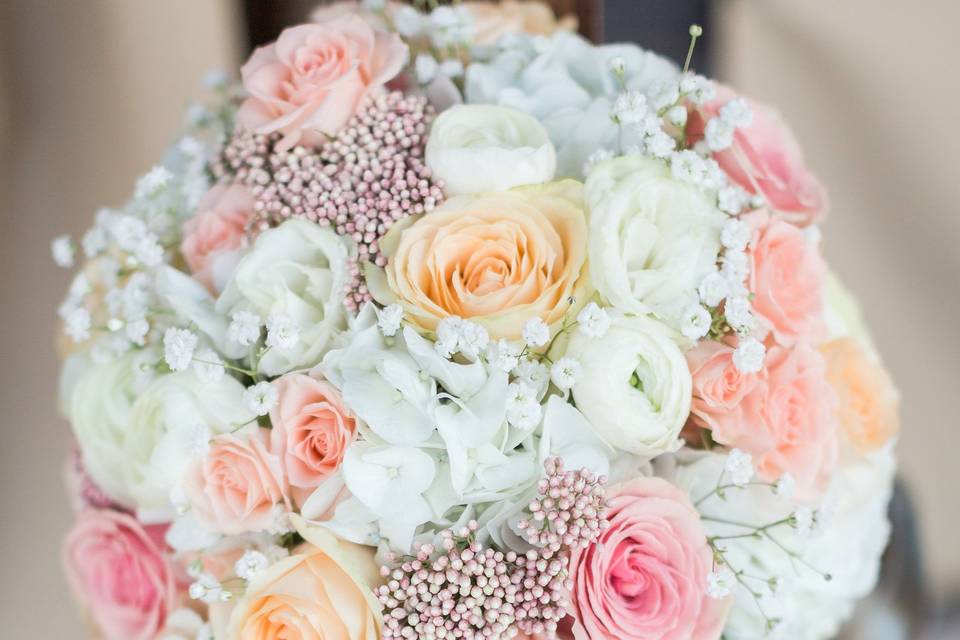 Stephanie Lynn Photography