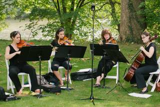 Cherrywood String Quartet and Ensembles