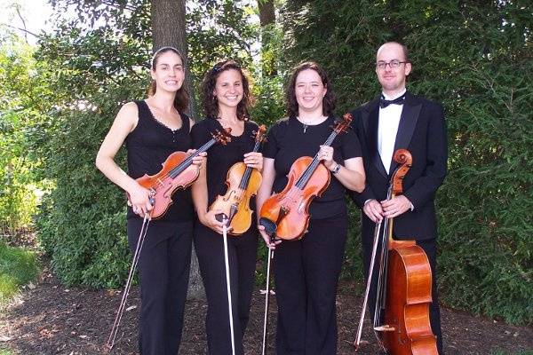 Cherrywood String Quartet and Ensembles