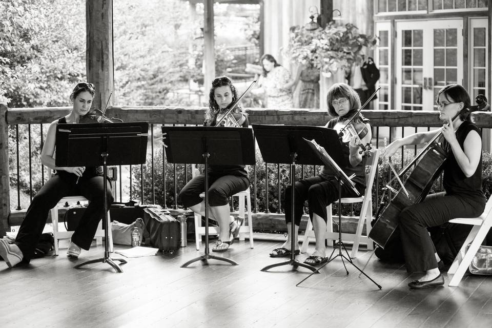 Cherrywood String Quartet and Ensembles