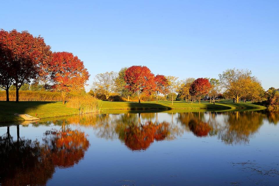 The Hawk Country Club
