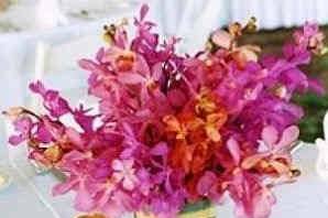 KINGS CREEK FLOWERS