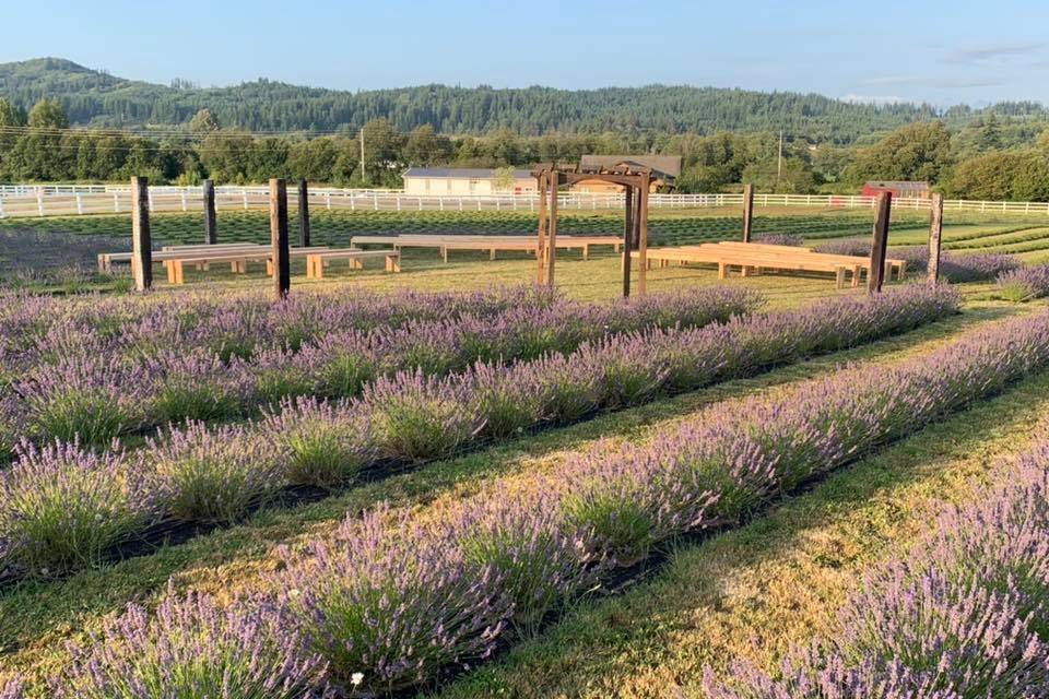 Willapa Valley Lavender Farm