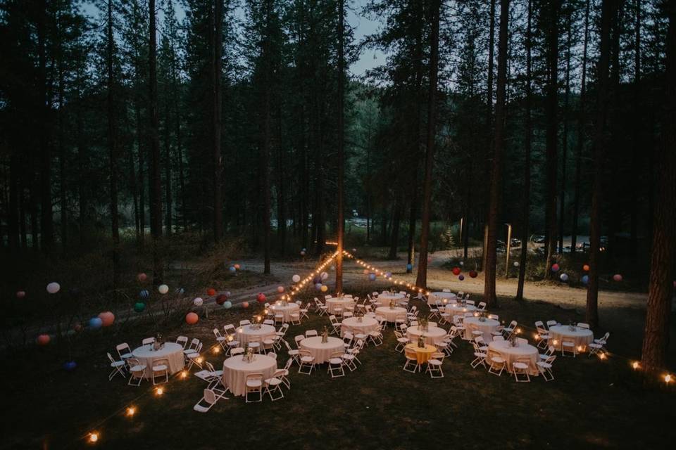 Dinner under the lights