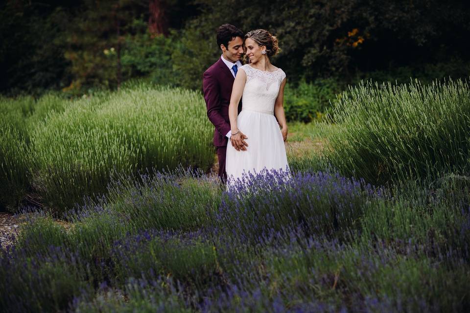 Love in the lavender
