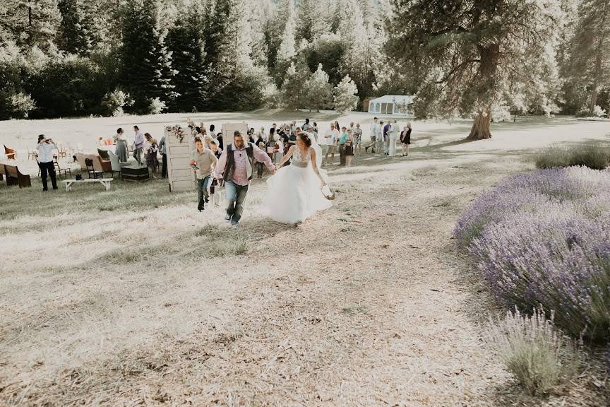 Ceremony next to lavender