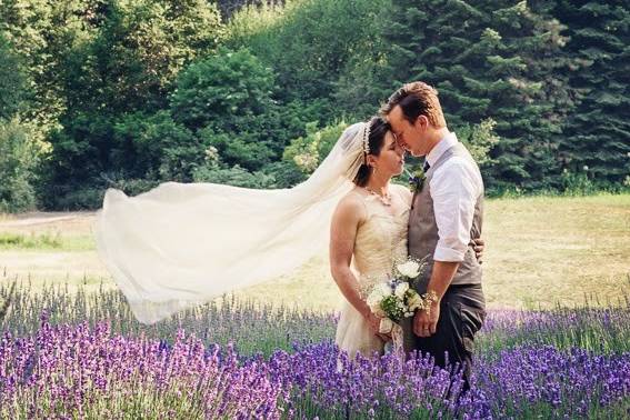 Couple in the lavender