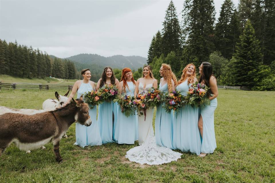Bridal party & mini-donkeys