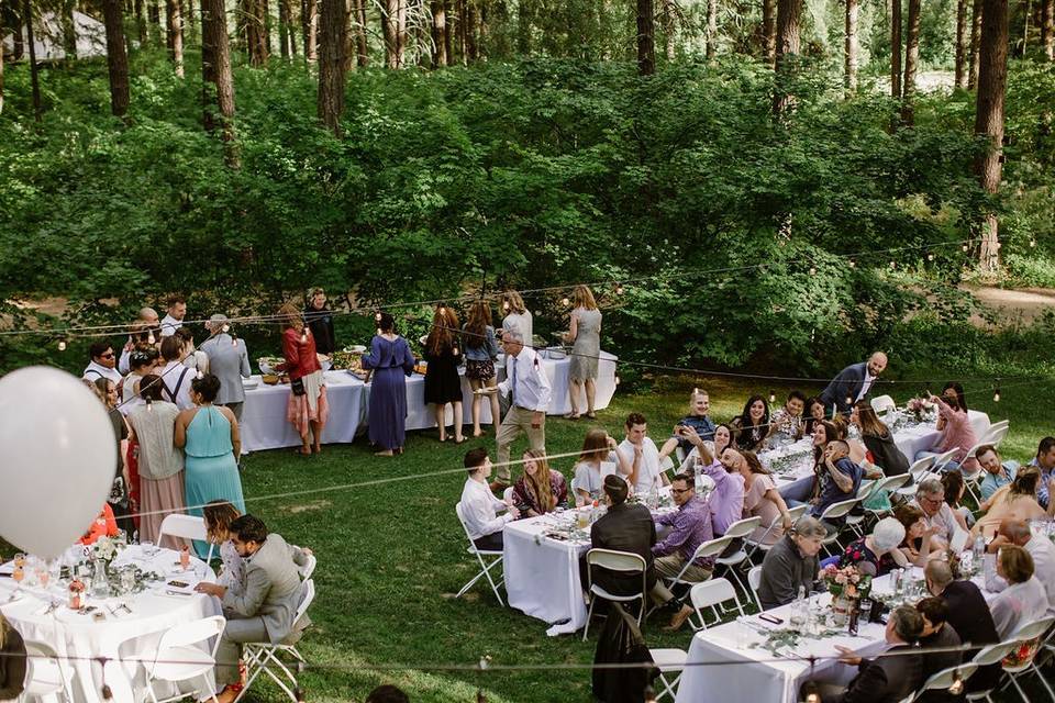 Dinner on the lawn