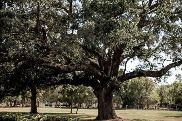 Ceremony site