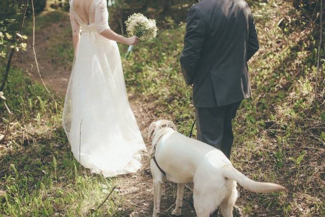 Hay + J Wedding Design