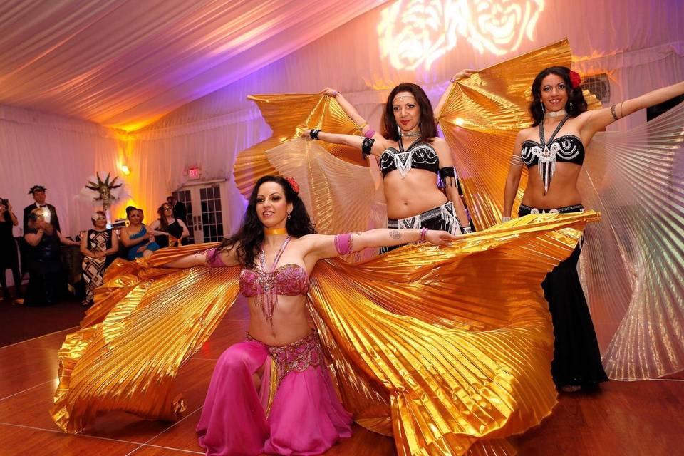 Group bellydance show with wings