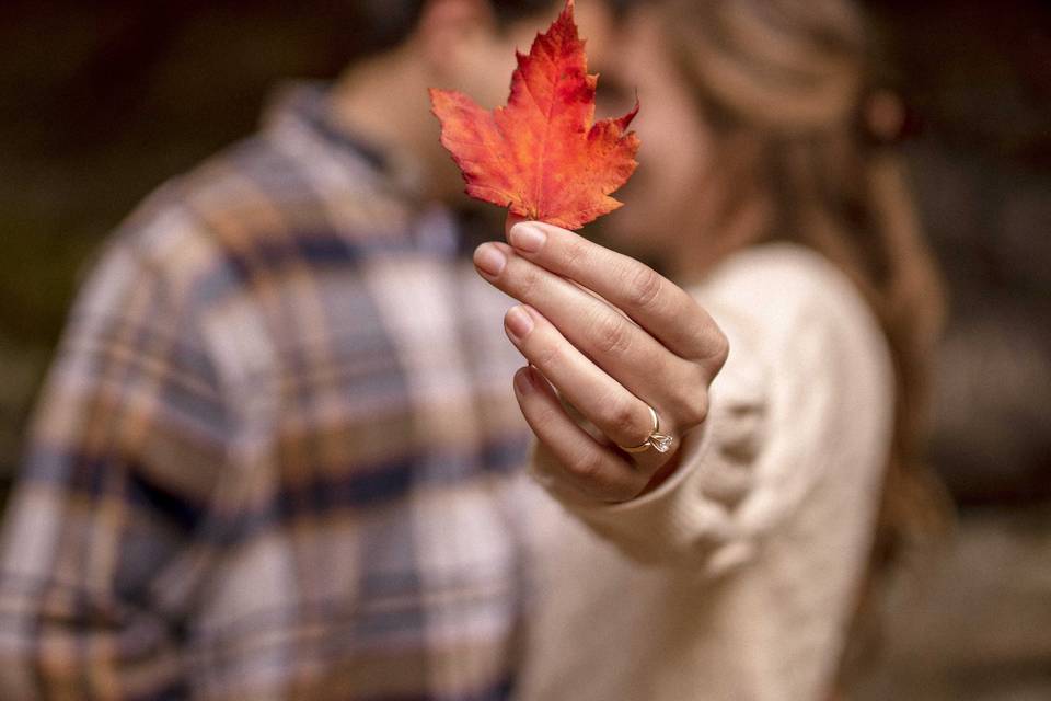 Secret Leaf Kiss