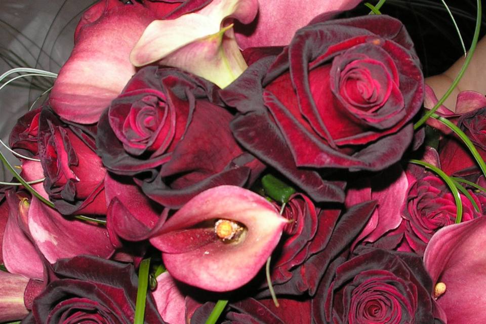 Roses and calla lilies