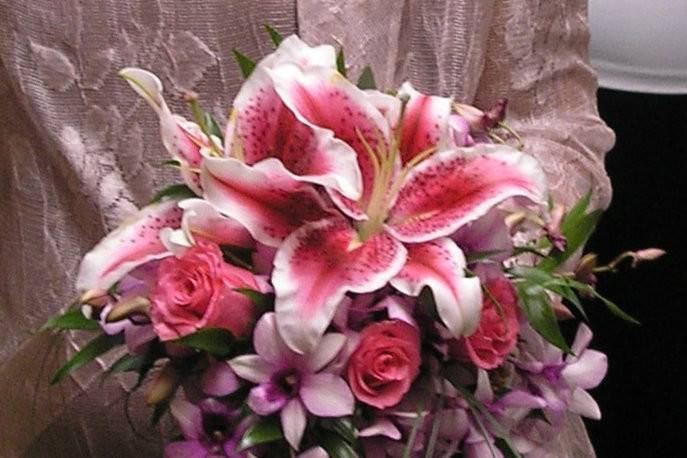 Stargazers, orchids and roses