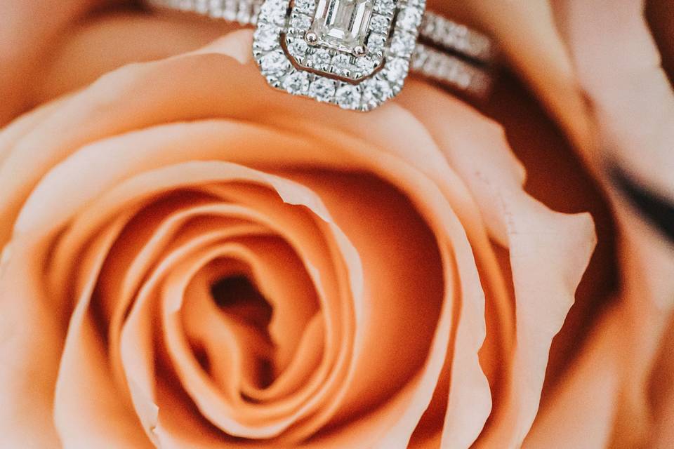 Engaged Couple