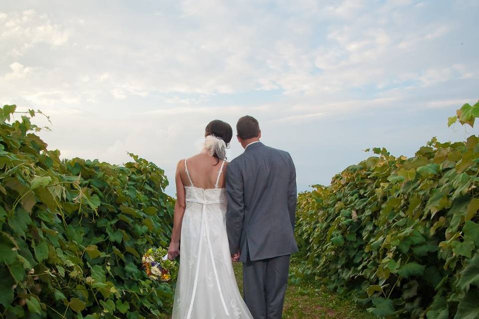 Becker farms and vizcarra vineyards