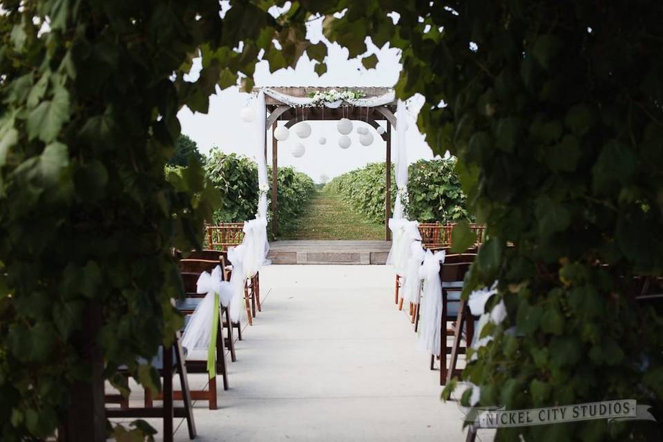 Vineyard Pavilion Ceremony