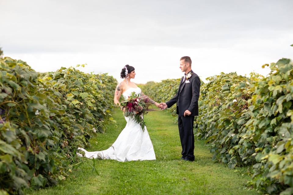 Love in the Vineyard