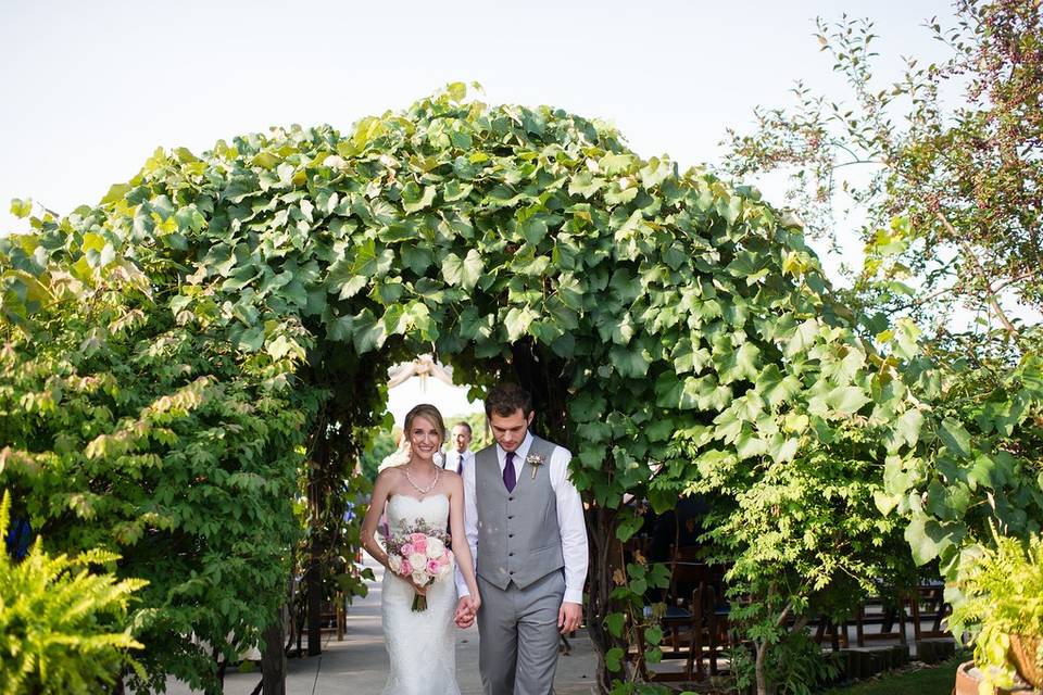 Vineyard Pavilion Ceremony