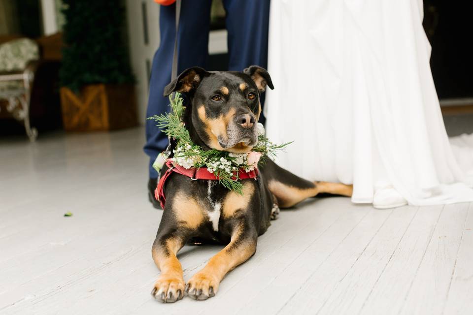 Flower Girl