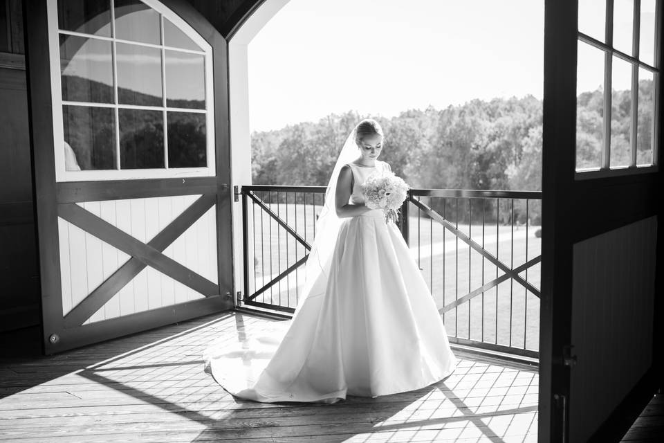 Bridal portrait - Melissa Diane Photography, LLC