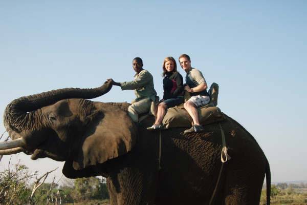 one of my Honeymoon couple on an elephant back safari in Zambia.