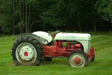 Lawn