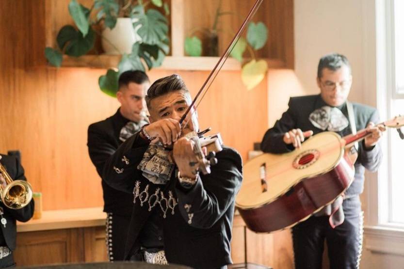 Mariachi band no problem