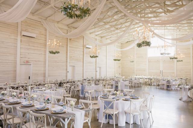 Wedding Reception