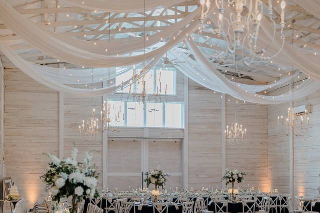 Wedding Reception