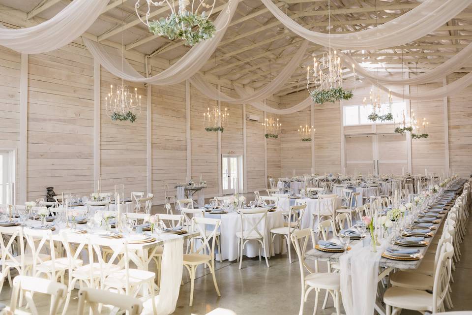 Wedding Reception