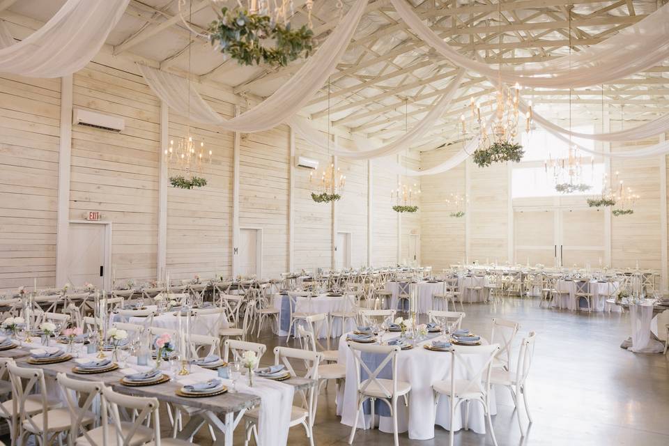 Wedding Reception
