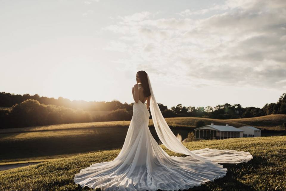 Bridal Portrait