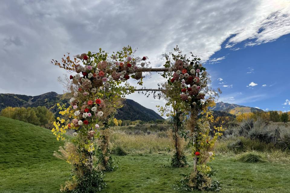 Whimsical, organic arch